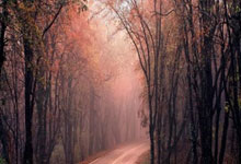 九游会:阿特金森:没想过60胜&这不是最终目标 但可以喘口气庆祝一下.