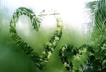 郑钦文澳网意外遭淘汰 劲敌阿丽娜:卫冕之路不会轻松.